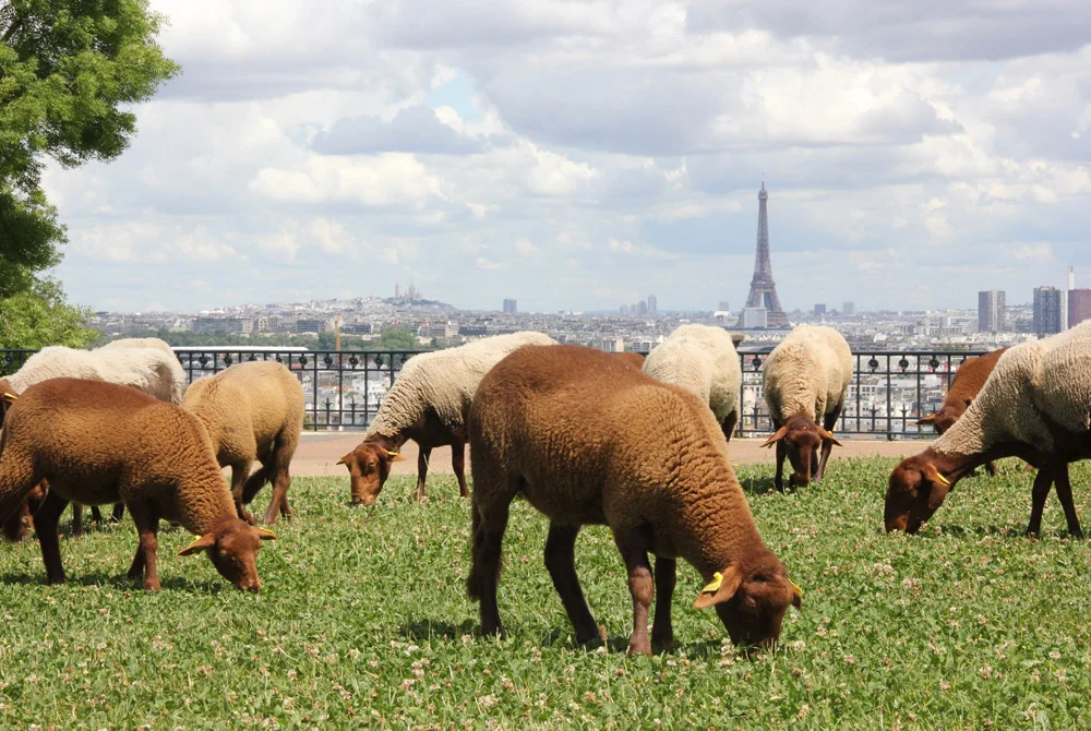 Récit de marque ESS : dix ans à raconter les métiers de l&rsquo;écologie urbaine, et ce que ça m&rsquo;a appris
